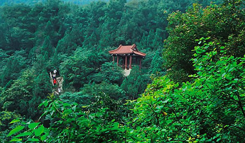 菏泽到台儿庄古城微山湖三日游旅游景点抱犊崮森林公园
